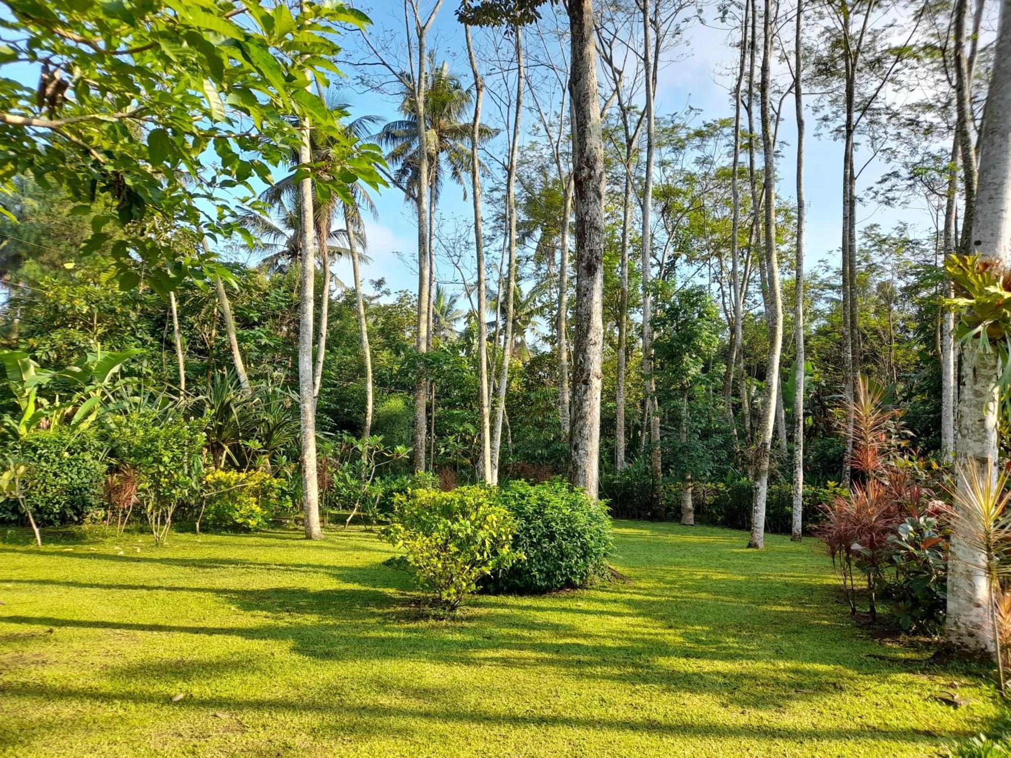 Hotel Ndalem Nitihardjan à Magelang Extérieur photo